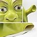 PAINEOMN Green Monster Mask Costume Mask Halloween Cosplay Full Head Green Adult Shrek Mask Latex