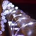 Lalapao Rope Lights 2 Pack Solar Powered Xmas String Lights 120 LED Christmas Fairy Decor Lighting with 8 Modes for Outdoor Indoor Tree Garden Patio Lawn Holiday Bedroom Wedding Waterproof (White)
