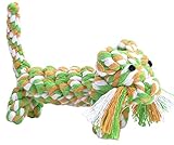 EXPAWLORER Cotton Dental Teaser Puppy Pet Chew Rope Toys for Small Dog Biting 9-inch,Tiger