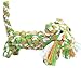 EXPAWLORER Cotton Dental Teaser Puppy Pet Chew Rope Toys for Small Dog Biting 9-inch,Tiger