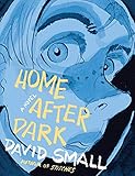 Home After Dark: A Novel