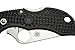 Spyderco Manbug Black FRN Spyderedge Knife