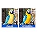 HOTCOLOR 2 Pack (1 Black 1Color) High Yield for 62XL Ink Cartridges High Capacity C2P05AN C2P07AN for ENVY 7645 OfficeJet 5740 5742 5745 Printer