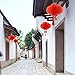 Coopay 10 Pack Chinese Red Lanterns Festival Decorations for New Year, Spring Festival, Wedding, Restaurant Decoration