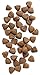 Earthborn Holistic Ocean Fusion Grain Dry Dog Food