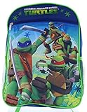 Teenage Mutant Ninja Turtles 15