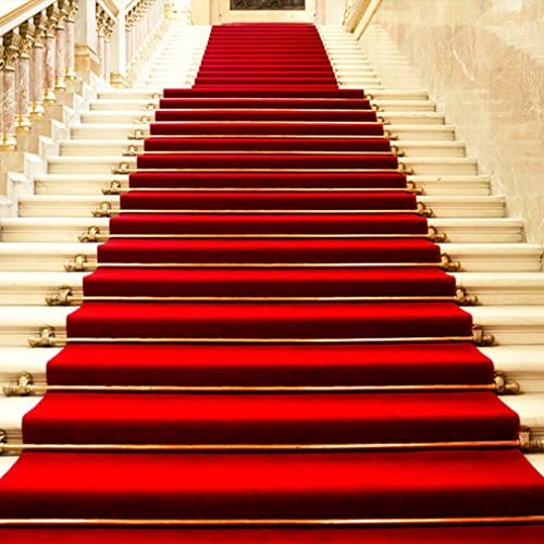 CXJ 5x7 Feet Photo Backdrop Red Carpet Stairs Suede Thick Cloth Fabric Semaless Backgrounds for Wedding Photography Studio
