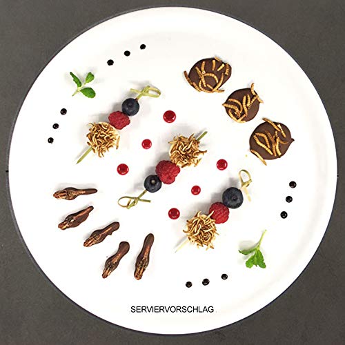 Essbare Insekten Mischung von 'SNACK insects' - 25g Insekten zum Essen - Grillen, Heuschecken & Mehlwürmer – Bild 8