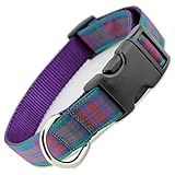 Plaid Dog Collar, Lindsay Tartan, Medium, 3/4