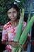 * WORLD'S LONGEST EARS CORN *10 seeds*RARE* 2ft. Ears* #1114