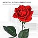 Glass Flower Galaxy Rose Gift for Women: Light Modes, USB Plug & Battery Powered Mother Birthday Thanksgiving Present Mom Her Wedding Anniversary Delivery Day Idea from Daughter