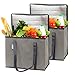 2-Pack Reusable Insulated Grocery Shopping Bags or Meal Delivery Bags | Eco-Friendly Large Cooler Tote Bag Stands Upright with Zipper and Thermal Interior | For Hot and Cold Food Storage and Transport
