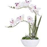 YSZL Large Artificial Potted Orchid Plant, Silk Flower Arrangement with Ceramics Vase, White