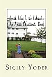 Amish Lilies by the Lakeside (Amish Miracles Book 2)