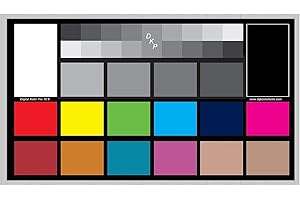 DGK Color Tools Digital Kolor Pro 16:9 Large Color Calibration and Video Chip Chart, 2-Pack