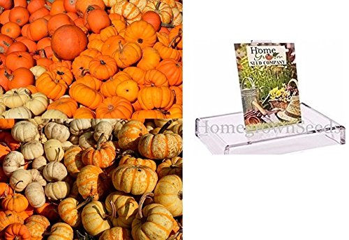 Homegrown Pumpkin Seeds, 180, Spookie Pumpkin Mix, 6 Pumpkin Types