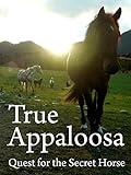 True Appaloosa