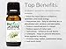 BioFinest Jasmine Essential Oil - 100% Pure Undiluted - Therapeutic Grade - Premium Quality - Best For Aromatherapy, Deep Sleep, Stretch Marks and Dry Skins - FREE E-Book (10ml)