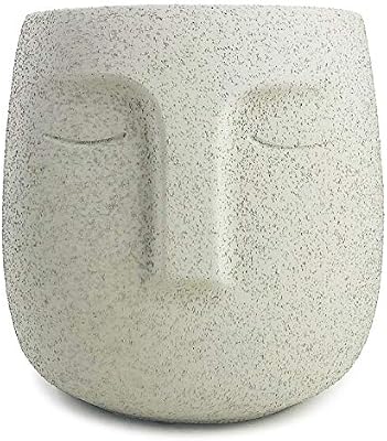 Concrete Head Planter Urn For Plants Modern Indoor Outdoor Cement Face Vase Statue Plant Pot For Home Decoration 5 5 Tall Gray Buy Online At Best Price In Uae Amazon Ae