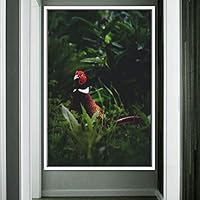 Framed Canvas Wall Art Single Bird Birds Expressive Farmhouse/Country Multicolor Photography Portrait Single - 16x24 inches