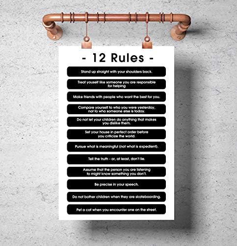 amazon 12 rules of life