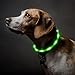 BSEEN Light Up Dog Collars - Silicone LED Dog Collar, Cuttable Lighted Puppy Collar, Glowing Dog Walking Lights for Small Medium Large Collars (Green)