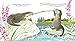 Otters Love to Play (Read and Wonder)