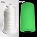 TcJ-Chen 3000Yards / 2700M Glow in The Dark Embroidery Thread (White)