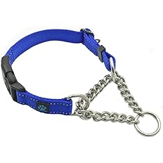 Max and Neo Stainless Steel Chain Martingale Collar - We Donate a Collar to a Dog Rescue for Every Collar Sold (Medium, Blue)