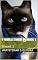 Livro A familia Stwart do Brasil 1: Stwart 1 (Cat's history)