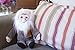 The Unemployed Philosophers Guild Charles Darwin Little Thinker - 12