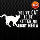 (2x) You've CAT to be KITTEN me right MEOW Car Vinyl Auto Emblem Sticker Decal (White 6