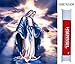 Hsenssel 5D DIY Diamond Painting Religious Figure Maria Full Round Drill Diamonds Embroidery Cross Stitch Home Decor Pictures 40x50cm (Our Lady Mother of God)