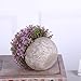 HC STAR Artificial Plant Potted Mini Fake Plant Decorative Lifelike Flower Green Plants Fake Flowers Small Fake Plants for Home/Office Decor/Desk/Kitchen/Bathroom/Shelves Purple Decor