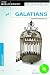 Group's Biblesense Galatians: Experiencing Freedom in Jesus by Group Publishing