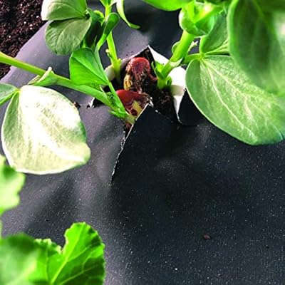 NovaMulch 120cm x 20m, Malla antihierbas de Papel Biodegradable ...