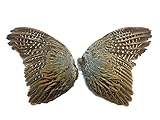 Pheasant Feathers - 1 Pair of Ringneck Pheasant Complete Wing Feathers
