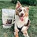 Nature Gnaws Braided Bully Sticks for Dogs 5-6