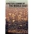 A Political Economy of the Middle East