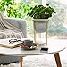 Cement Flower Pot with Stand - 6.3 Inch Tabletop Planter, Grey Herbs Orchids Cacti Succulents Pot Indoor with Gold Metal Stand