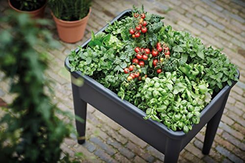 Elho Green Basics Grow Table XXL Crecimiento, Negro Intenso ...