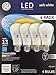 GE White Warm 10 Watt A19 Dimmable LED Bulbs 4-Pack