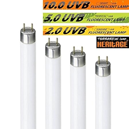 Natural Glow 2.0 Solar-Lampe, UVB, für Vivarium, Amphibien, Reptilien