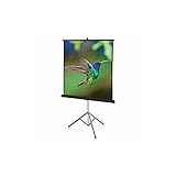 Quartet Portable Tripod Projection Screen, 70" x