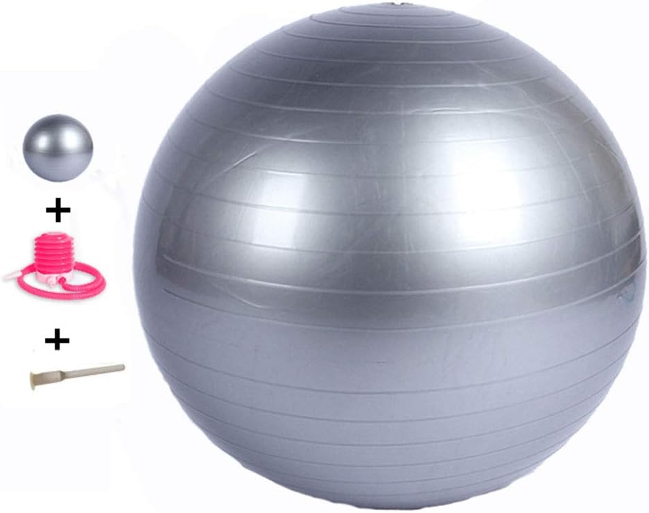 WOGQX Exercise Ball 55Cm 65Cm 75Cm, Gym Ball Anti-Burst Yoga Ball, with Pump and Airlock, for Yoga, Pilates, Gym, Office and Home Exercise