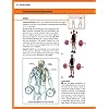 The Strength Training Anatomy Workout II: Building Strength and Power with Free Weights and Machines
