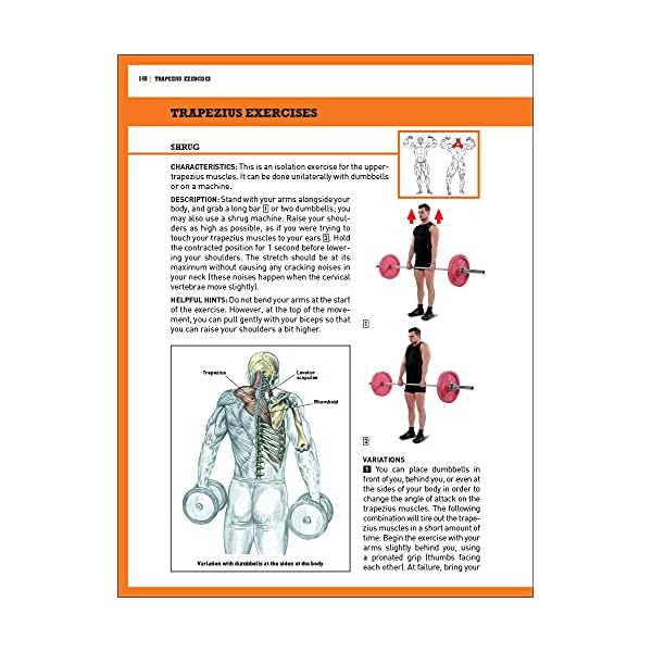 The Strength Training Anatomy Workout II: Building Strength and Power with Free Weights and Machines