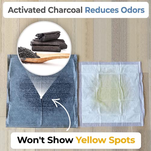 Alpha Paw Odor Eliminating Pee Pads for Dogs, Extra Thick Disposable