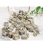 Crocon Dalmatian Agate Tumbled Stones and Crystals Bulk Polished Healing Reiki Chakra Irregular S...