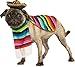 Rubie's Serape and Hat for Pets, Small